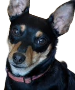 Müllerová-Pilařová Bára